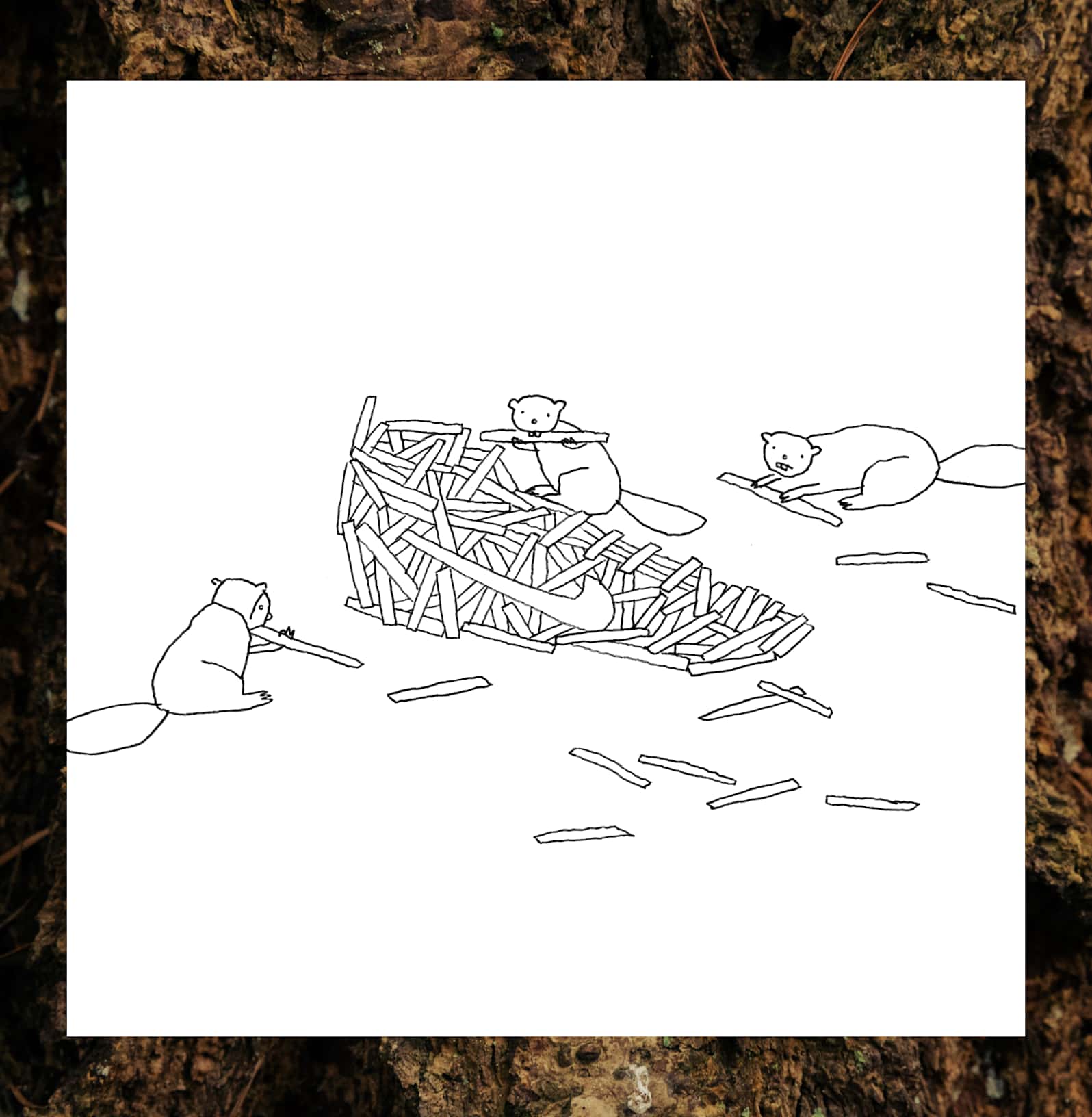 Bærekraftig skodesign