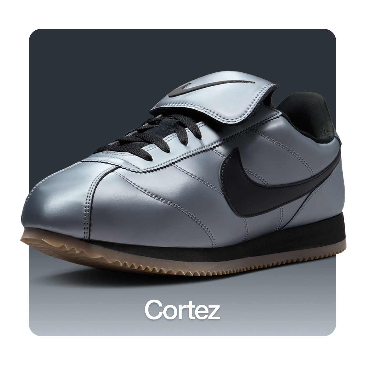 Women's Shoes, Clothing & Accessories