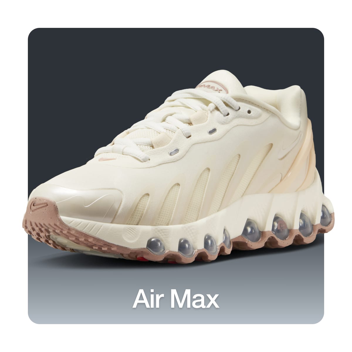 Women's Shoes, Clothing & Accessories