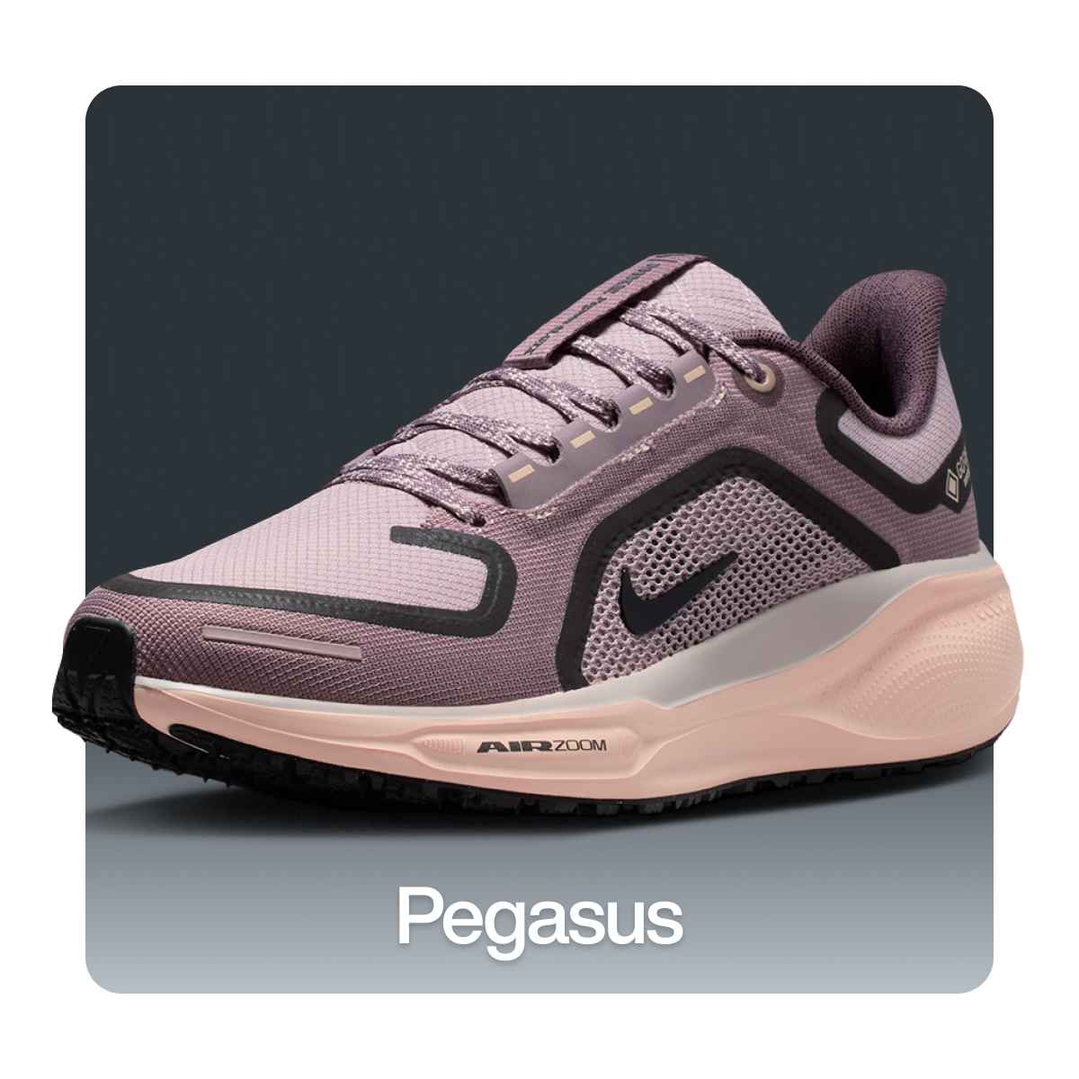 Women's Shoes, Clothing & Accessories