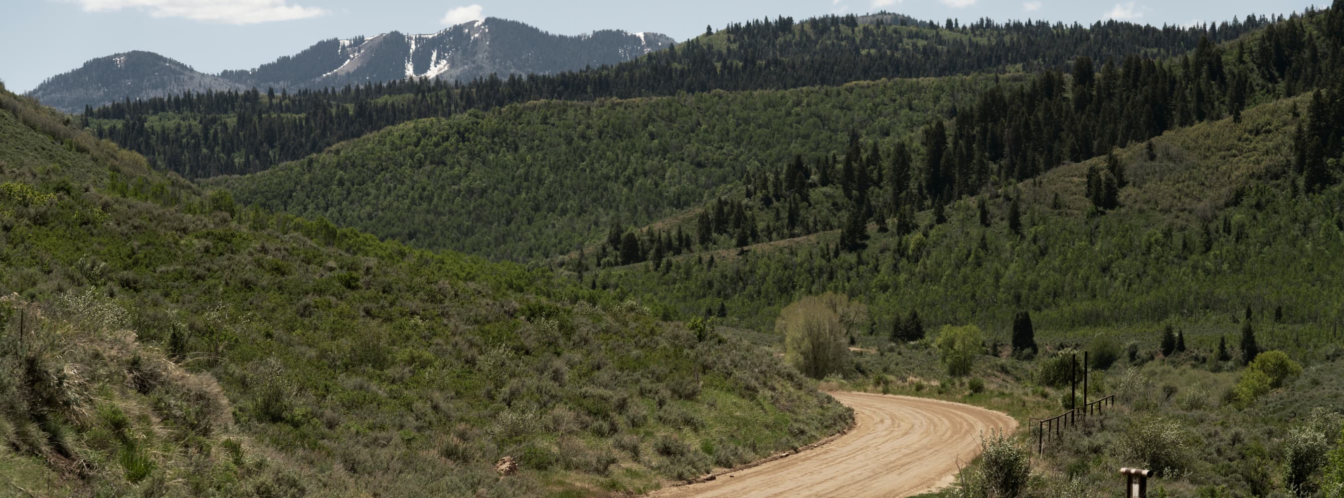 Running Shoe Finder. Nike NL