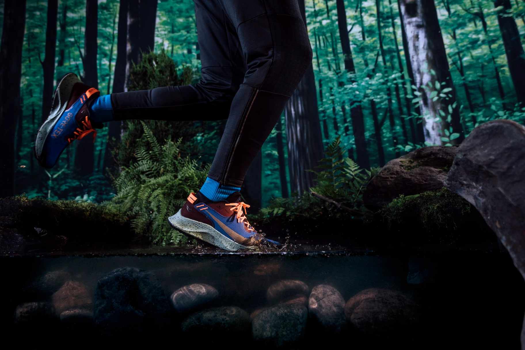 L'équipement indispensable pour commencer le trail