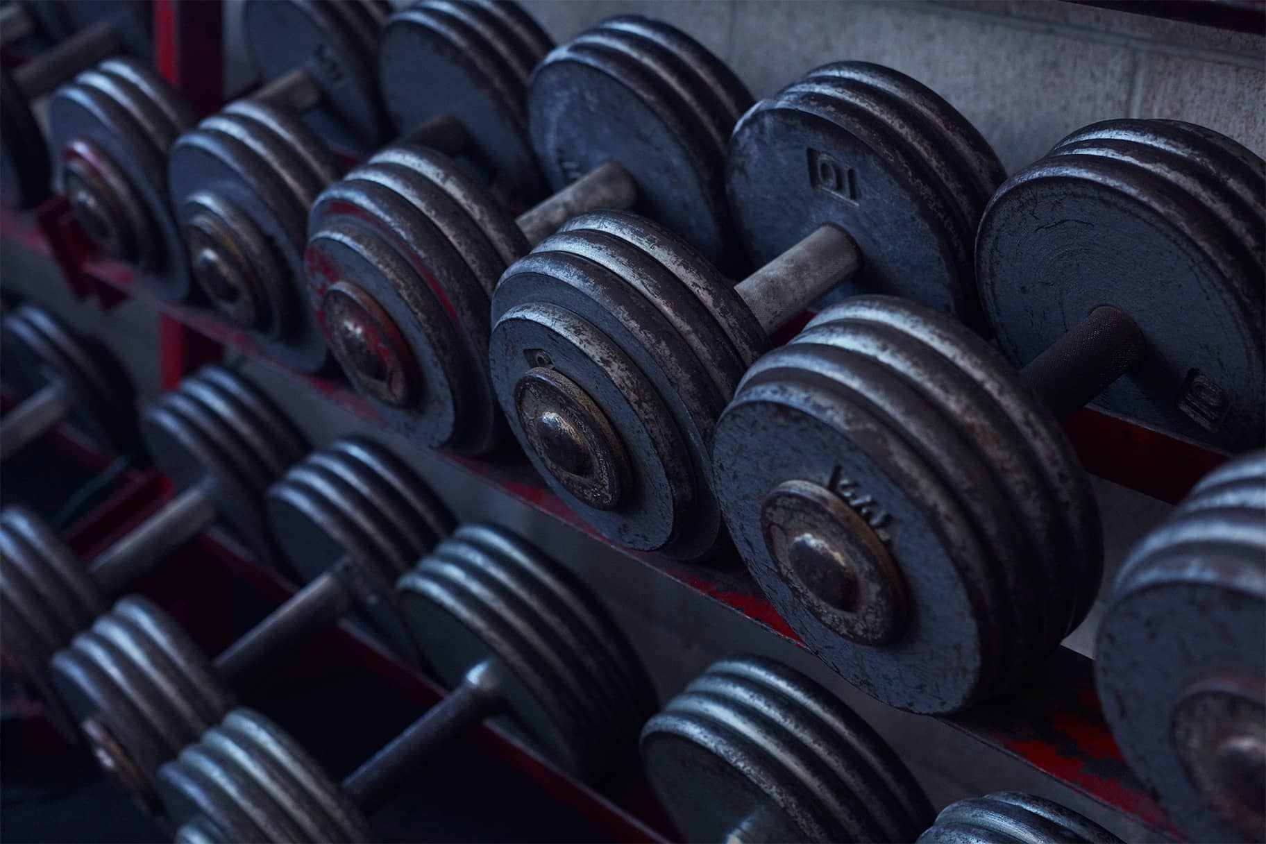 Los mejores entrenamientos de espalda con mancuerna según los entrenadores