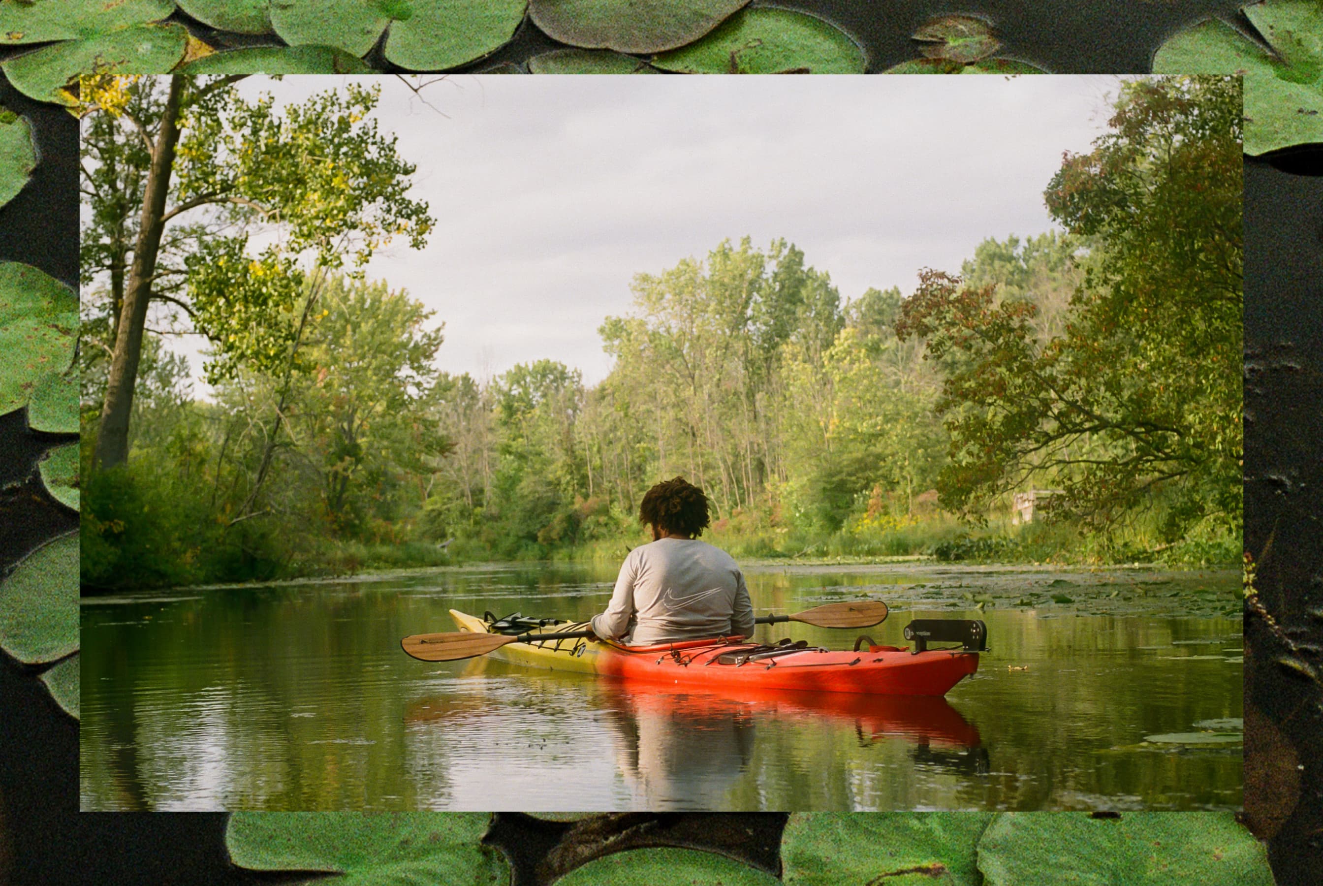 My Backyard: Learning to Love the Nature Around You