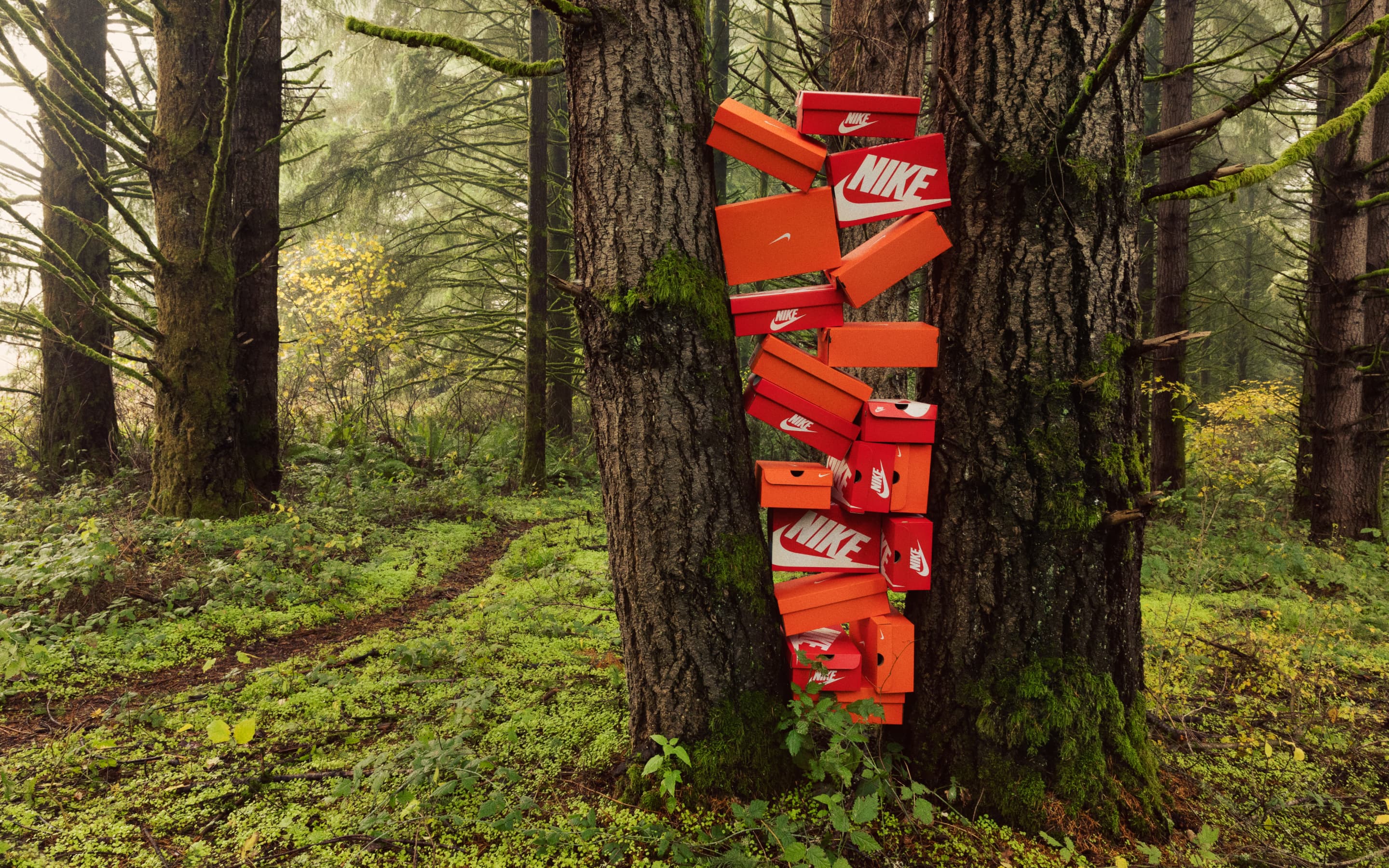 Sustainable Shoe Design 101
