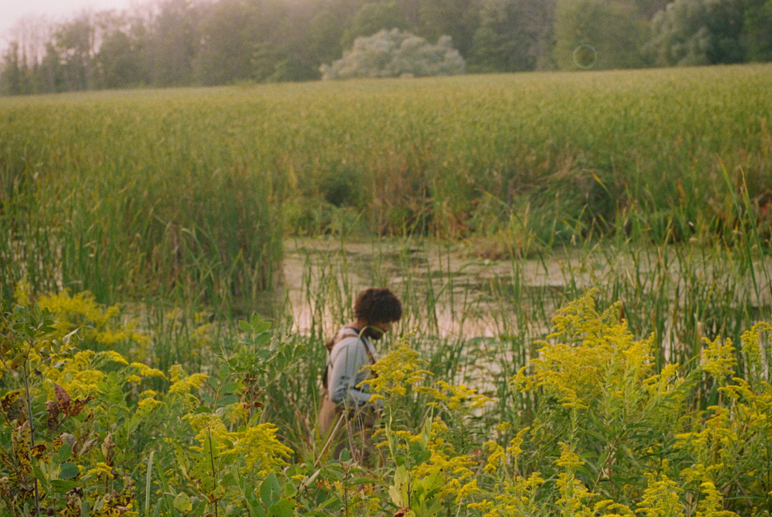 My Backyard: Learning to Love the Nature Around You