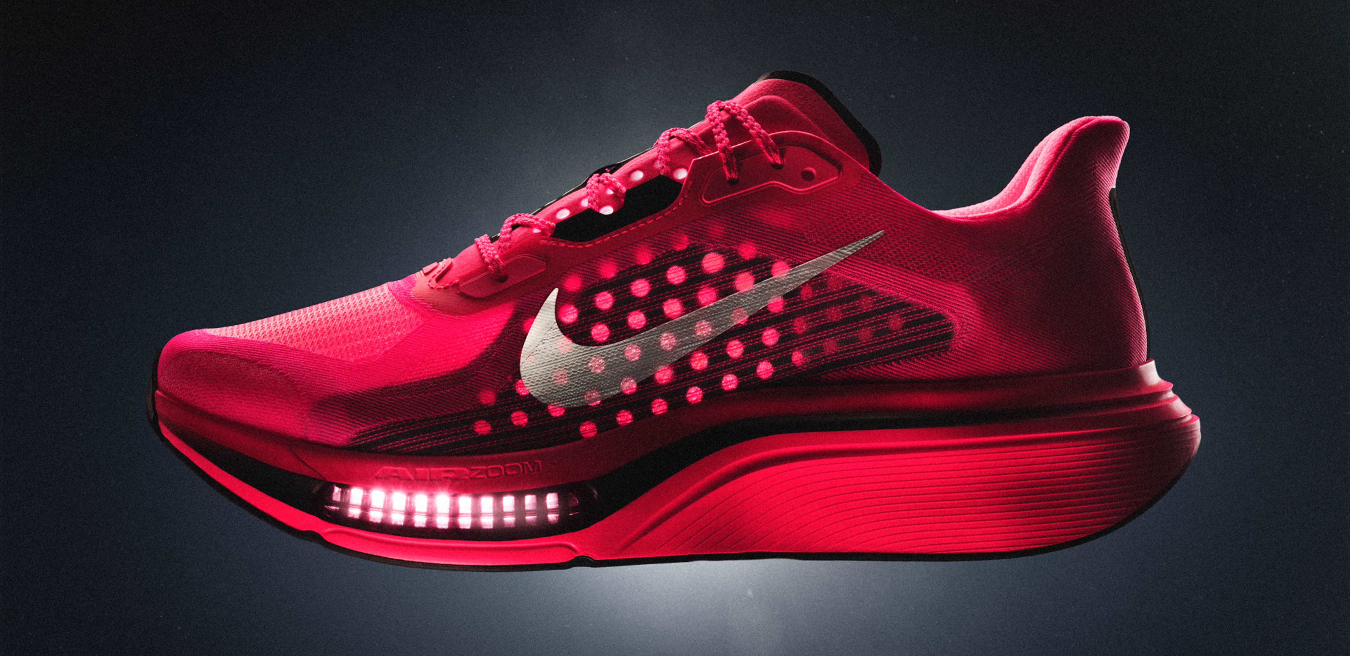 Nike. Just Do It. Nike.com (JP), ペガサス プラス 2