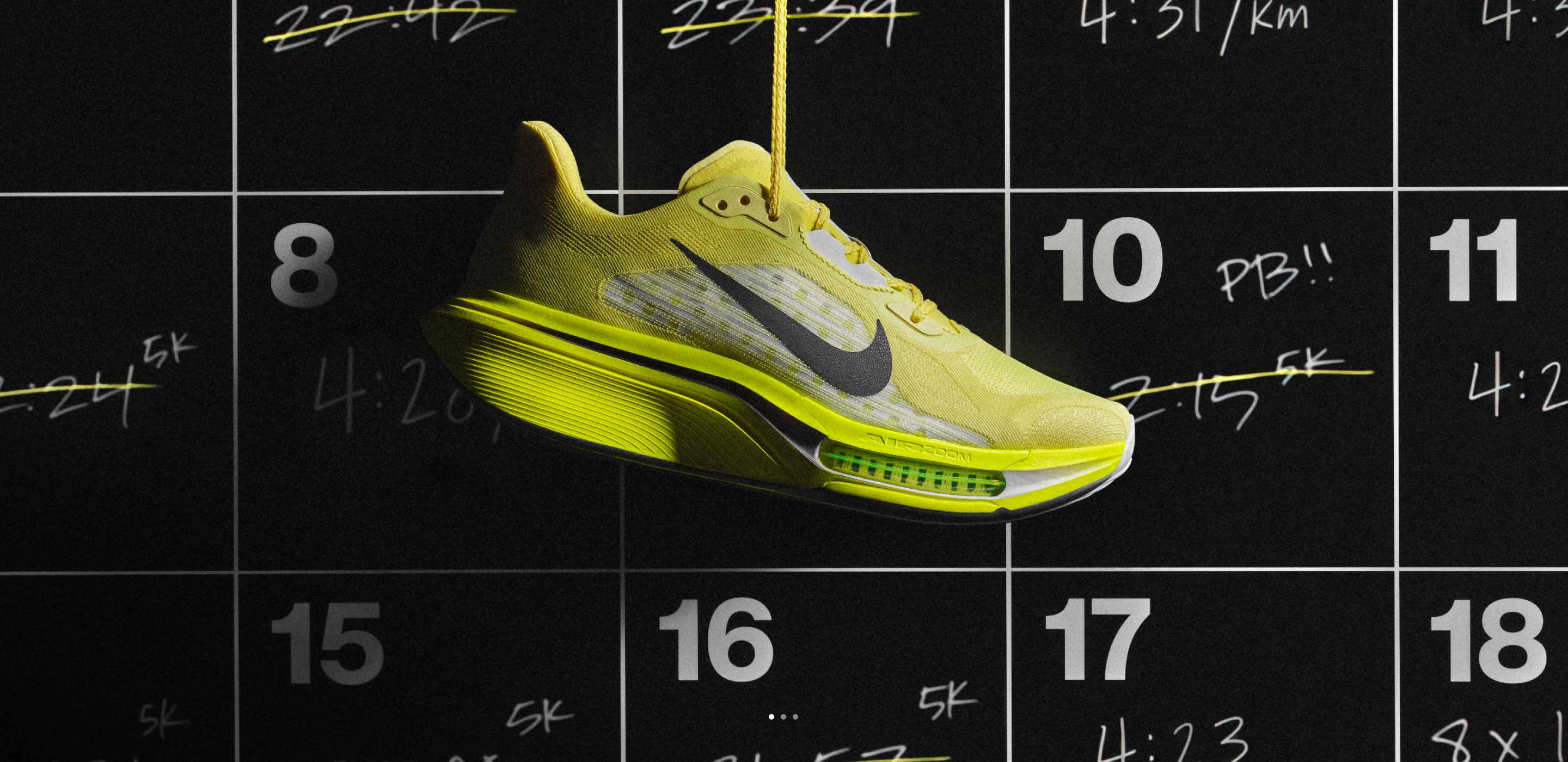 Nike. Just Do It. Nike.com (JP), ペガサス プラス 2