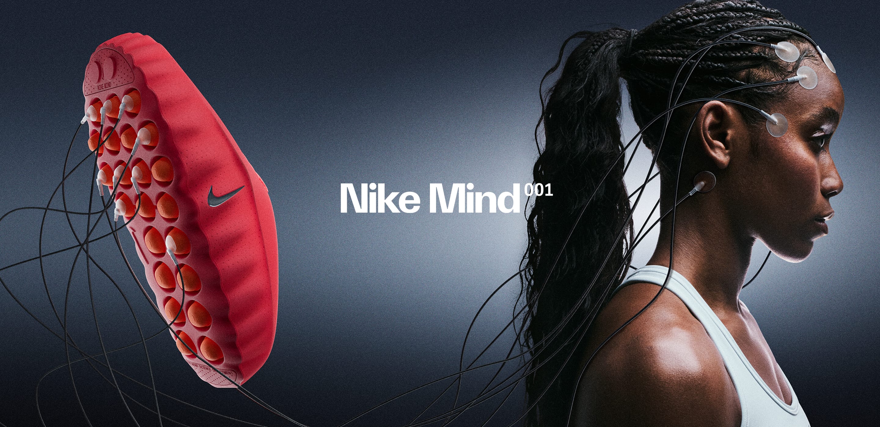 여성 신발, 의류 및 액세서리