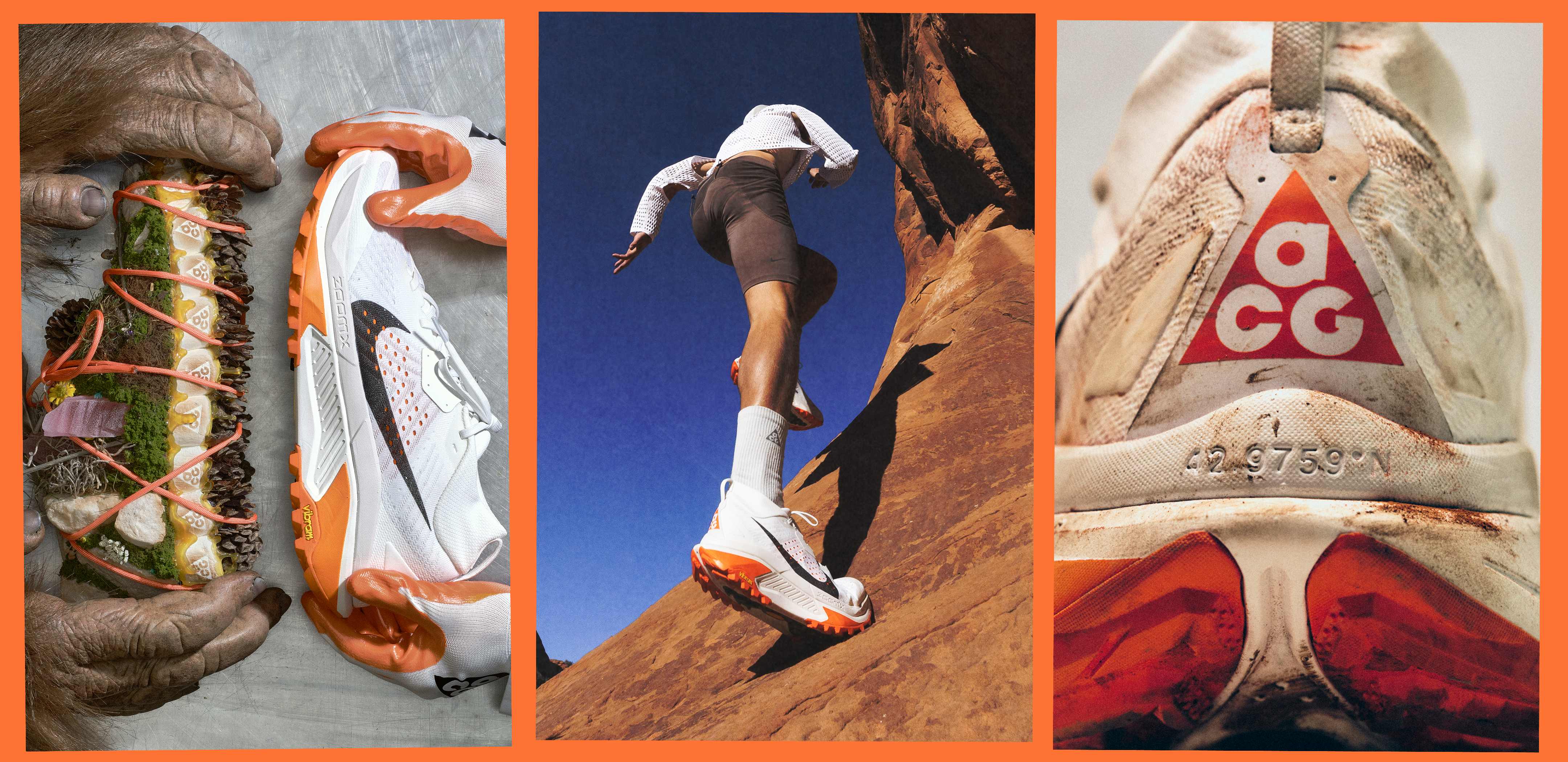 ACG Journal