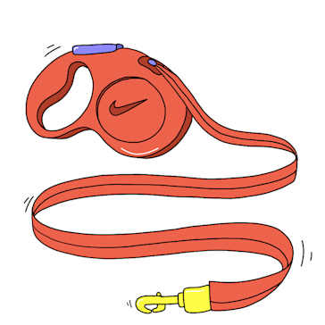 Get an adjustable leash
