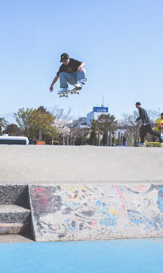 NIKE SB ペイズリーパック / Blazer Coast Tour