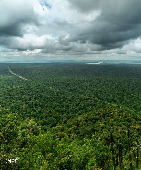 Forest Frequencies: Atlantic Forest Soundscapes, slide 6 of 6