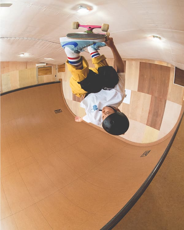 NIKE SB ペイズリーパック / Blazer Coast Tour, slide 1 of 3