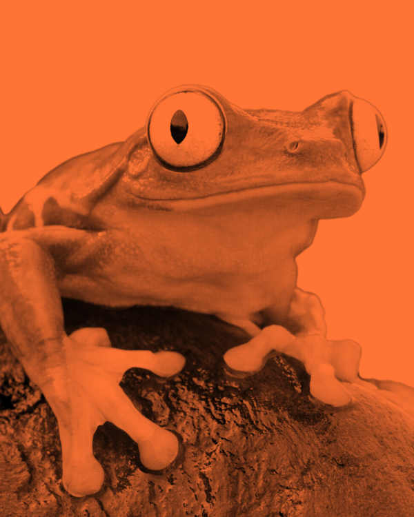 Racing Dept Bios, slide 3 of 5