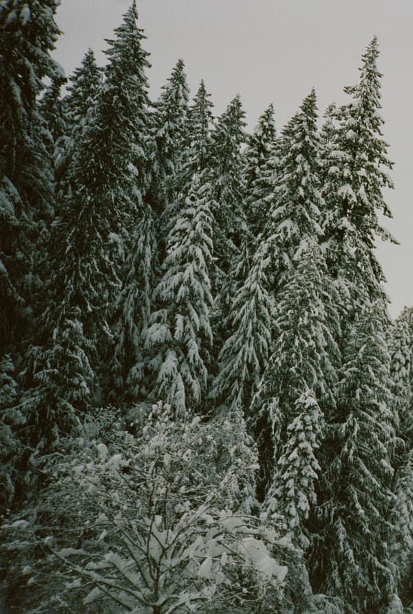 ACG Holiday 2020: Smith Rock Lookbook, slide 4 of 5