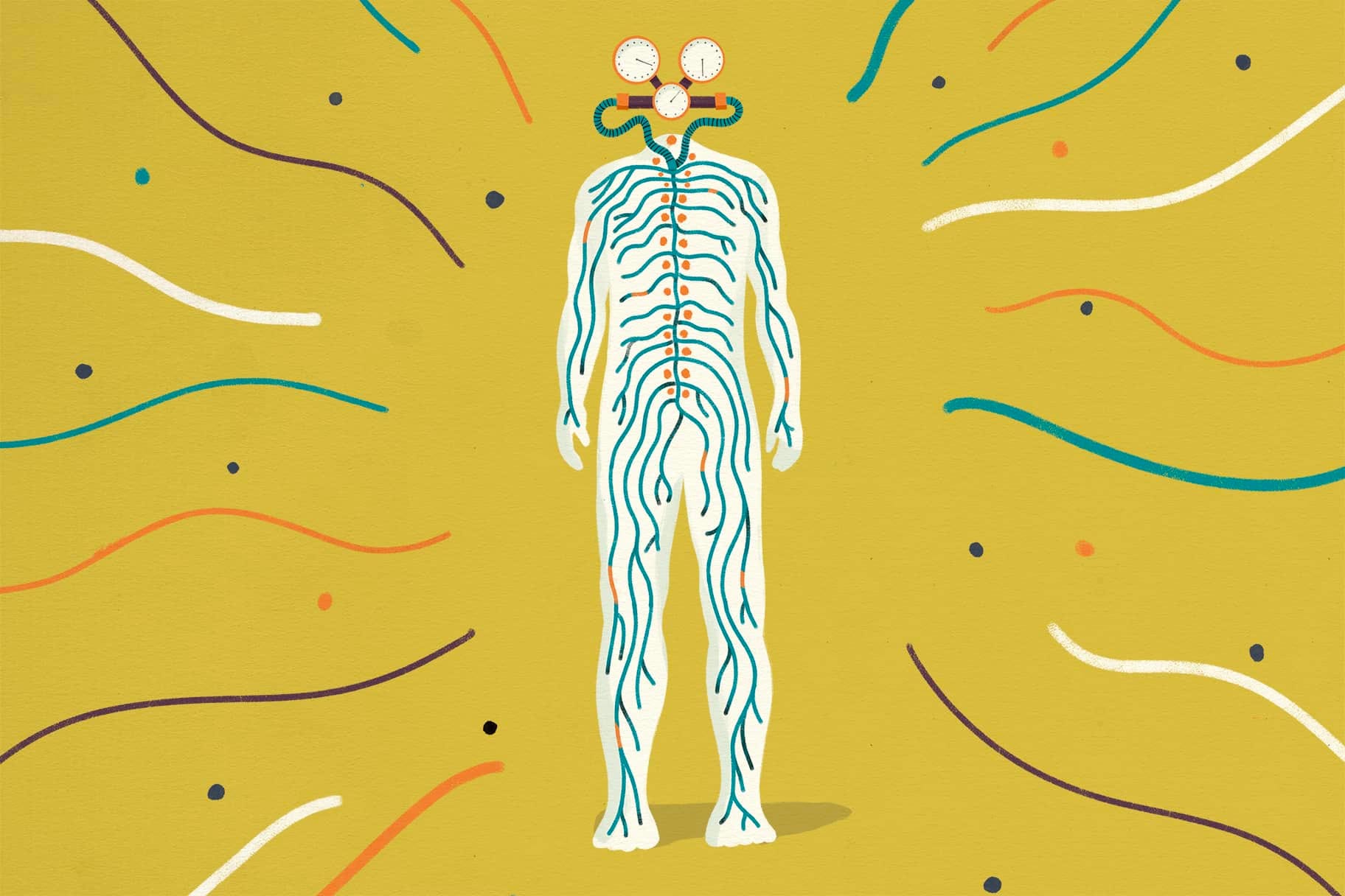Was bedeutet Regulation des Nervensystems und wie geht das?