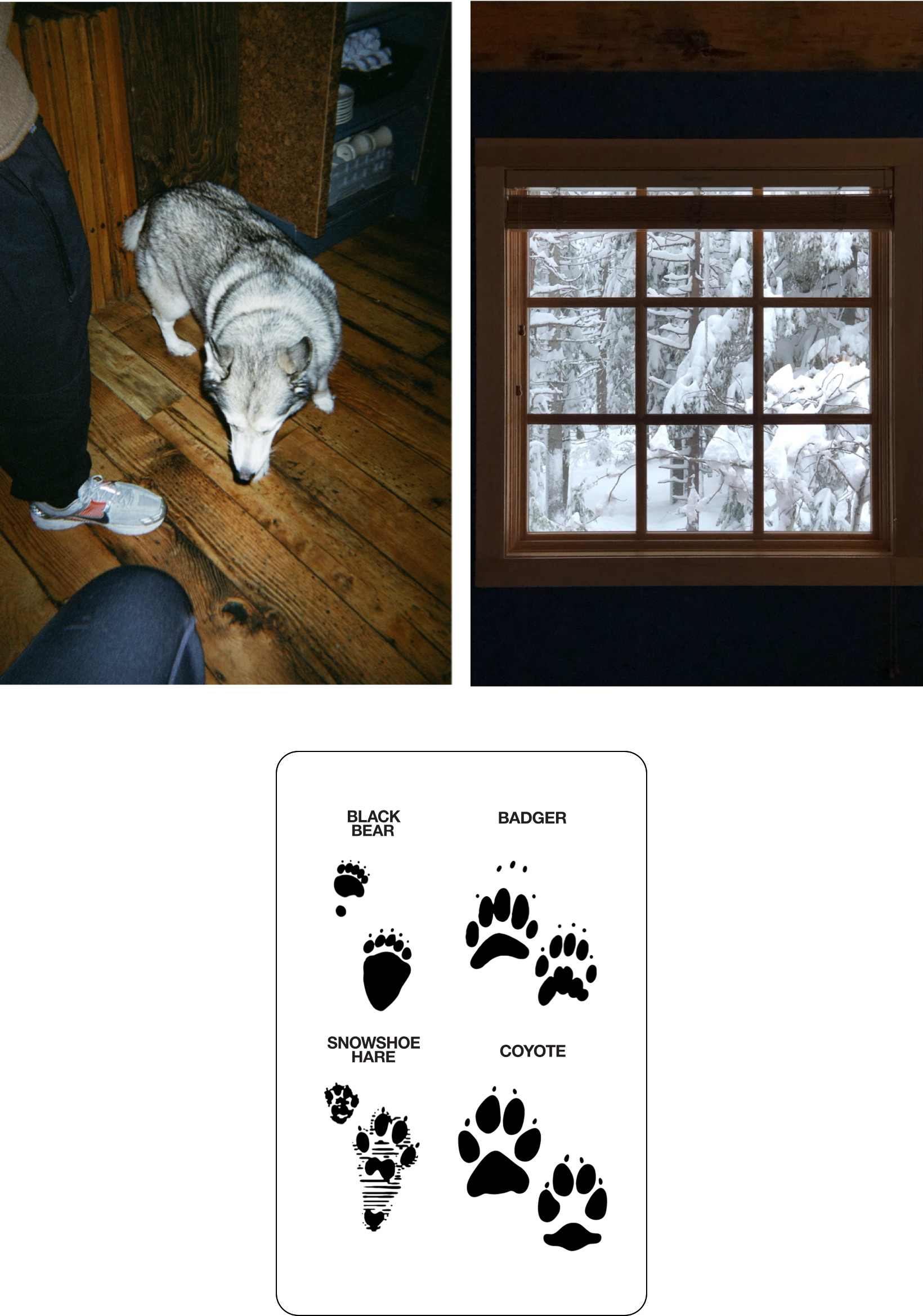 เบื้องหลังดีไซน์: ACG Smith Rock