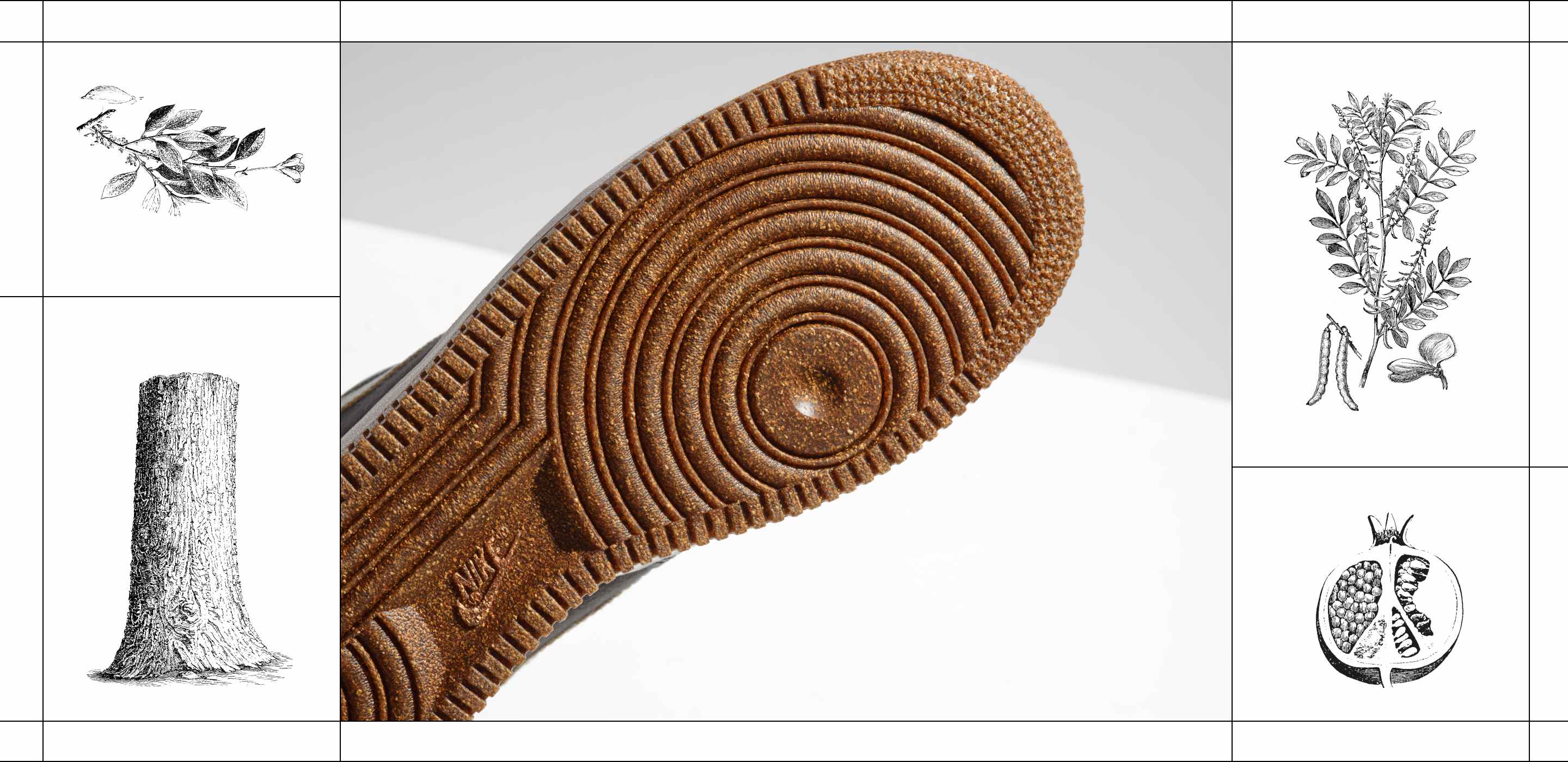 Plant Cork Pack: Behind the Design