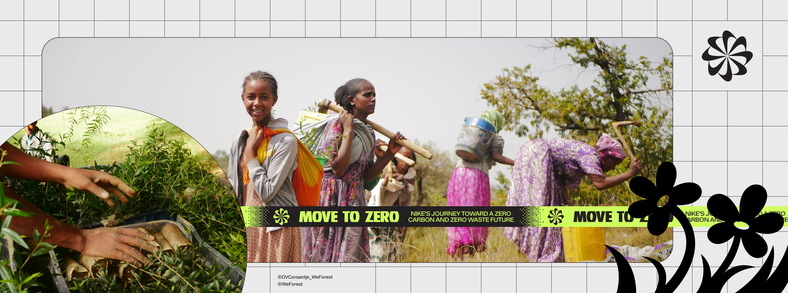 Nike and WeForest: Growing Together