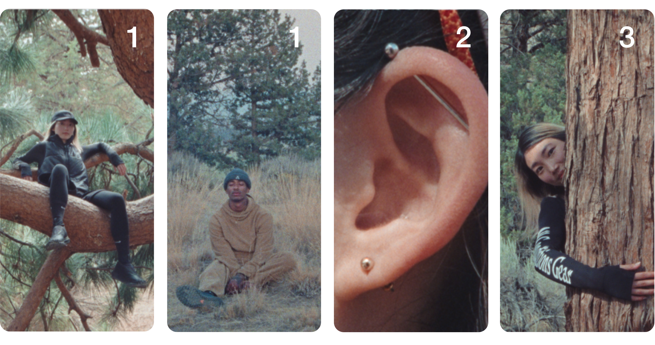 Der ACG-Leitfaden zum weltweiten Frieden