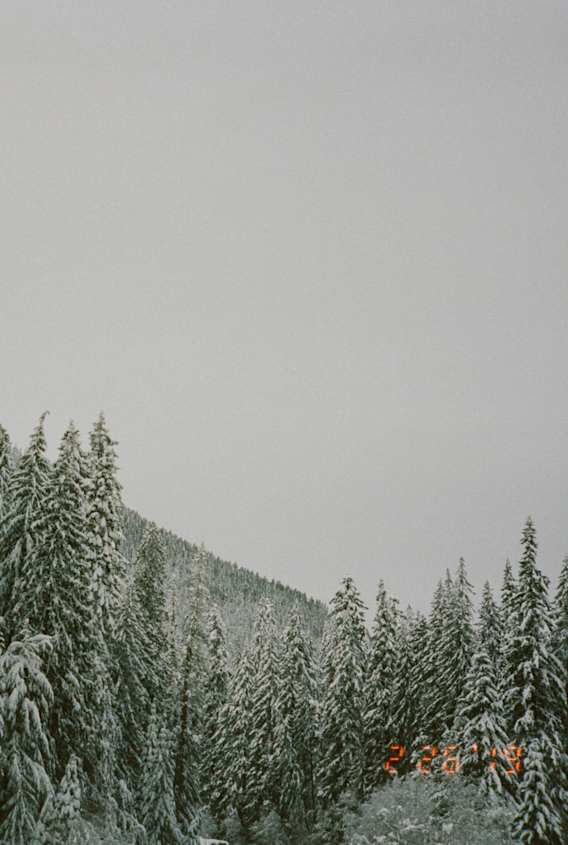 Festività ACG 2020: lookbook Smith Rock