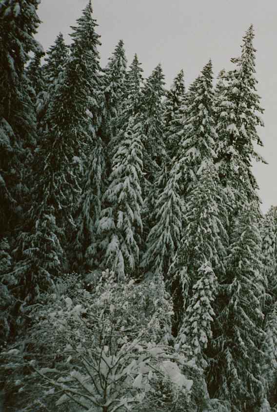 Festività ACG 2020: lookbook Smith Rock