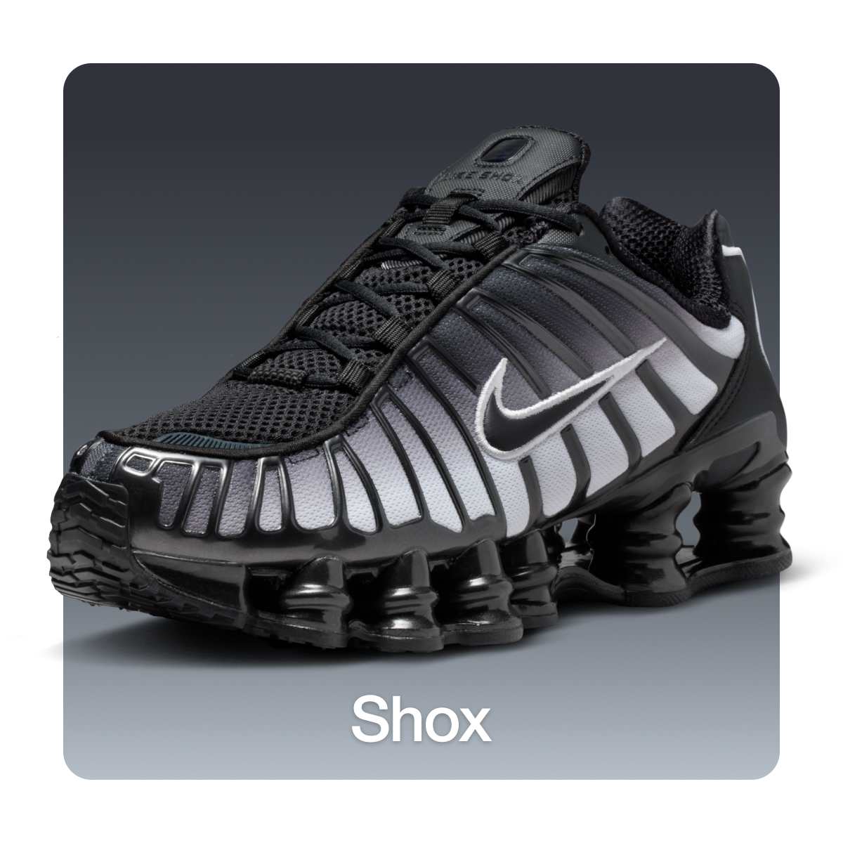 Women's Shoes, Clothing & Accessories