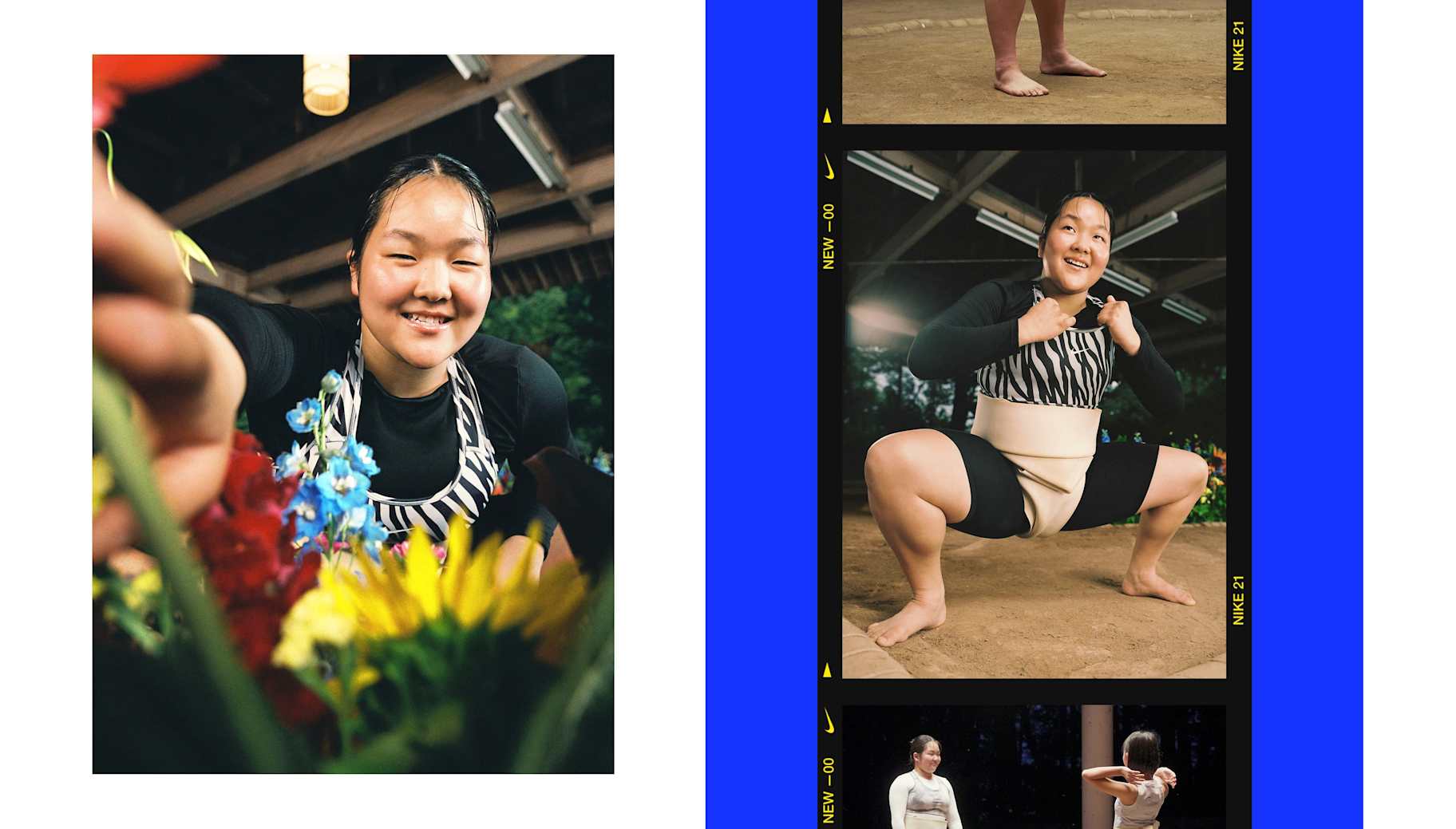 Play New 新しいファイター