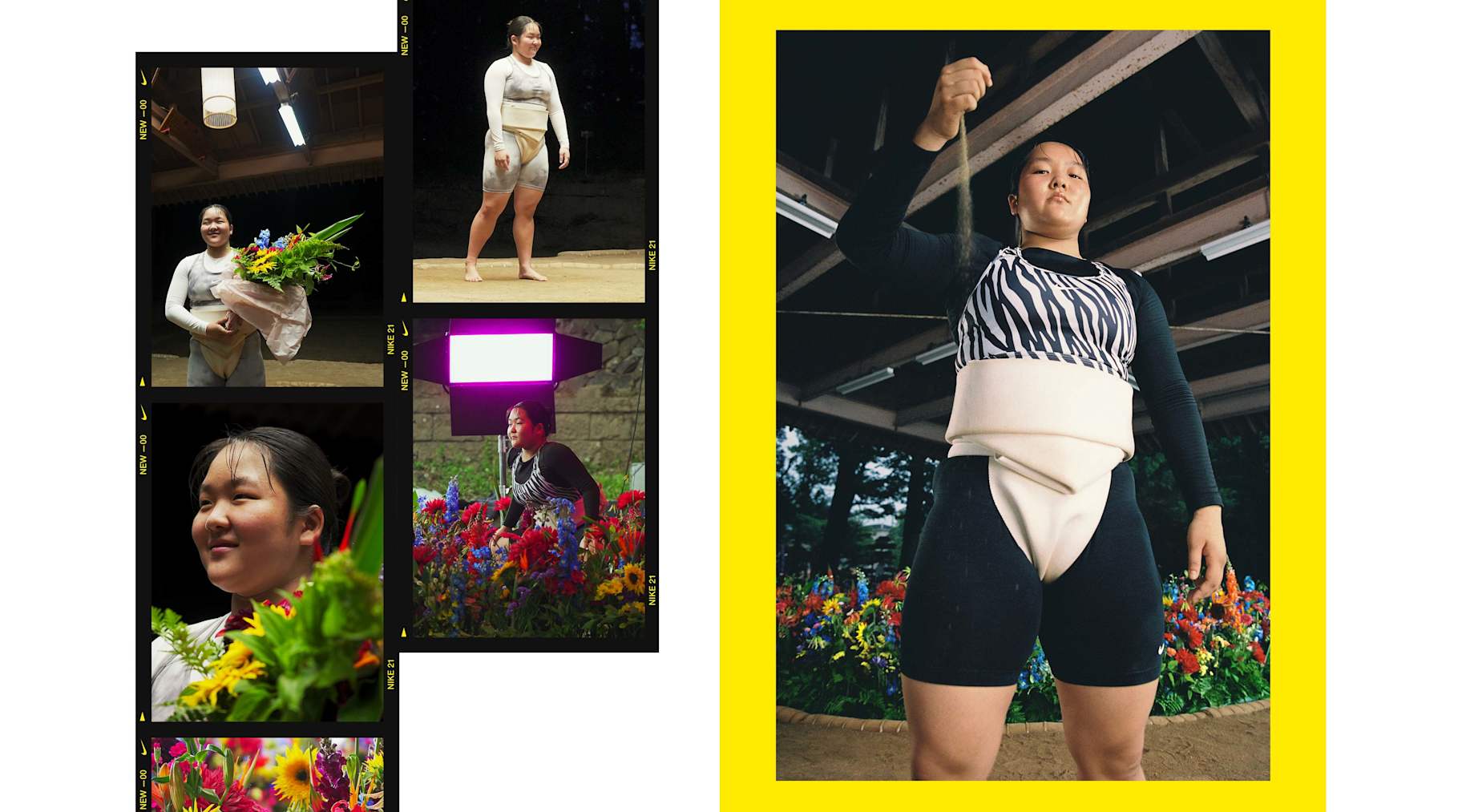 Play New 新しいファイター