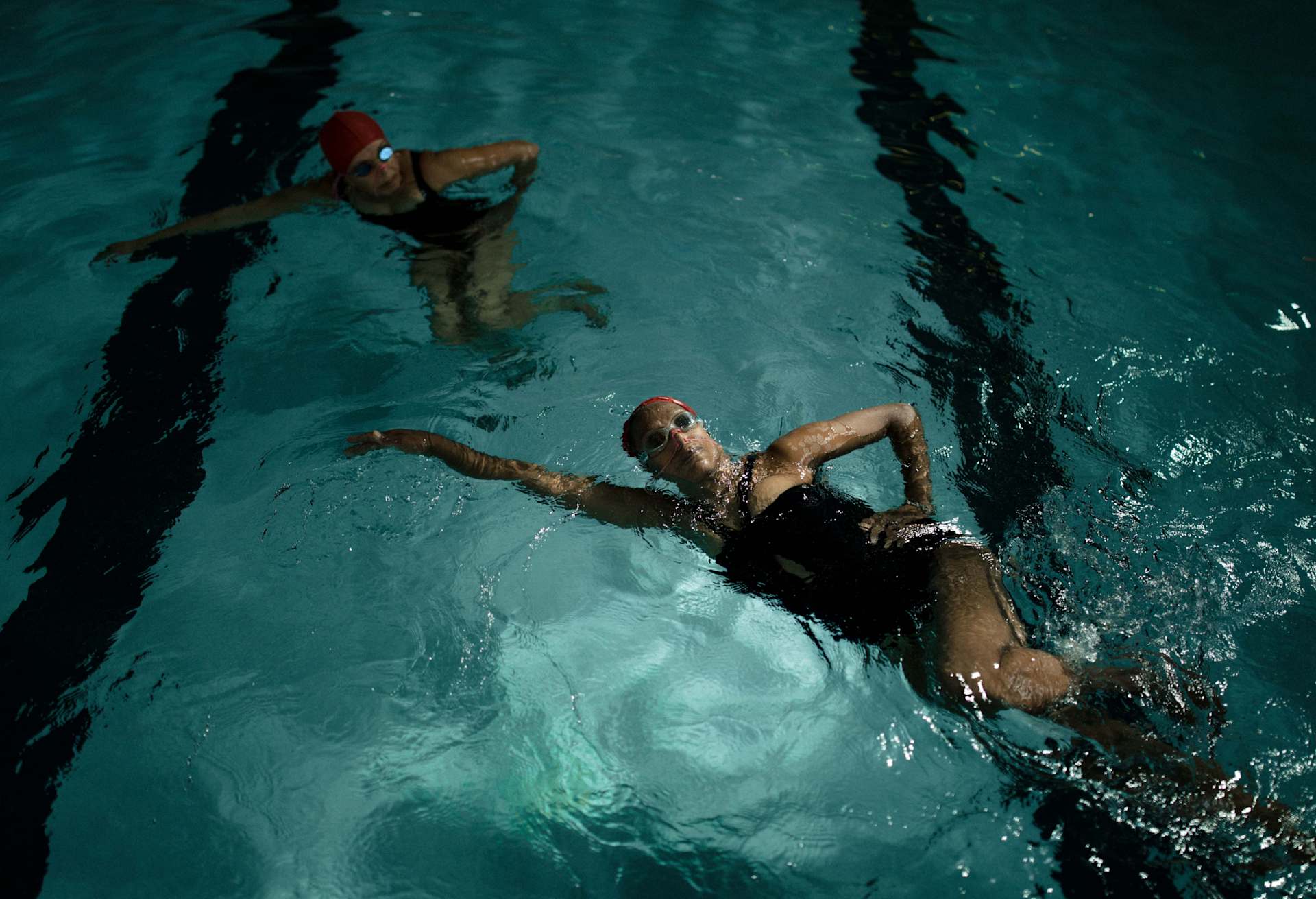 En bonne compagnie : Harlem Honeys & Bears