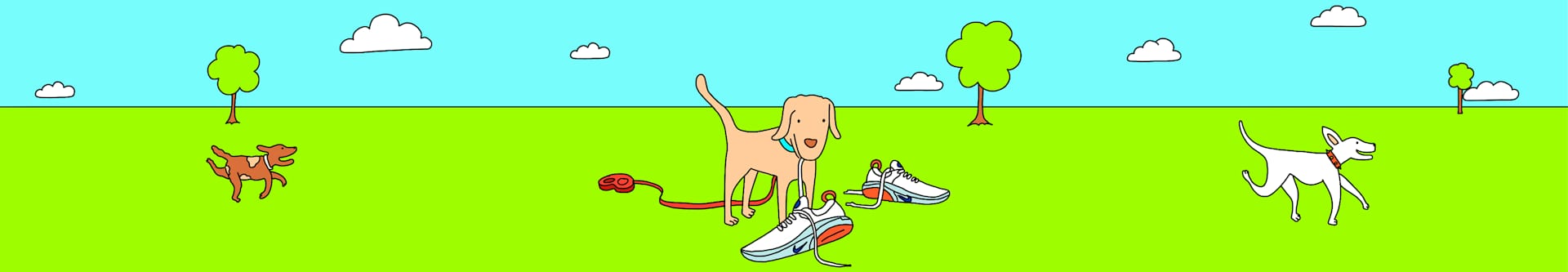How To Run With Your Dog