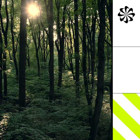 Talking Trash avec Billie Eilish