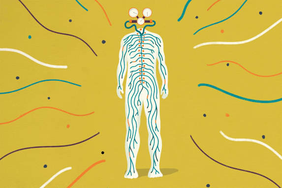 Qu'est-ce que la régulation du système nerveux et comment procéder ?