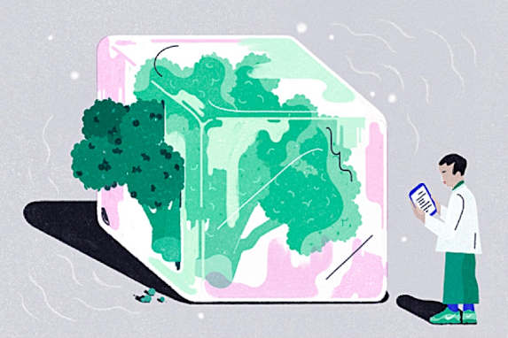 The Health Benefits of Frozen Food