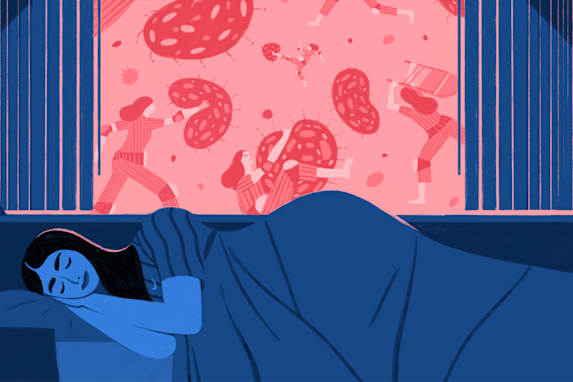 How Sleep Affects Your Immune System