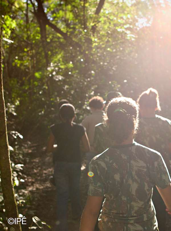 Frequências da floresta: paisagens sonoras da floresta atlântica