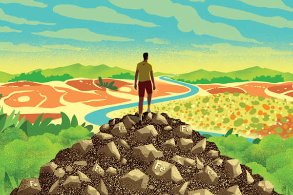 Do I Need More Iron in My Diet?