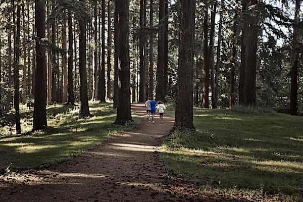 7 Best Outdoorsy Gifts By Nike