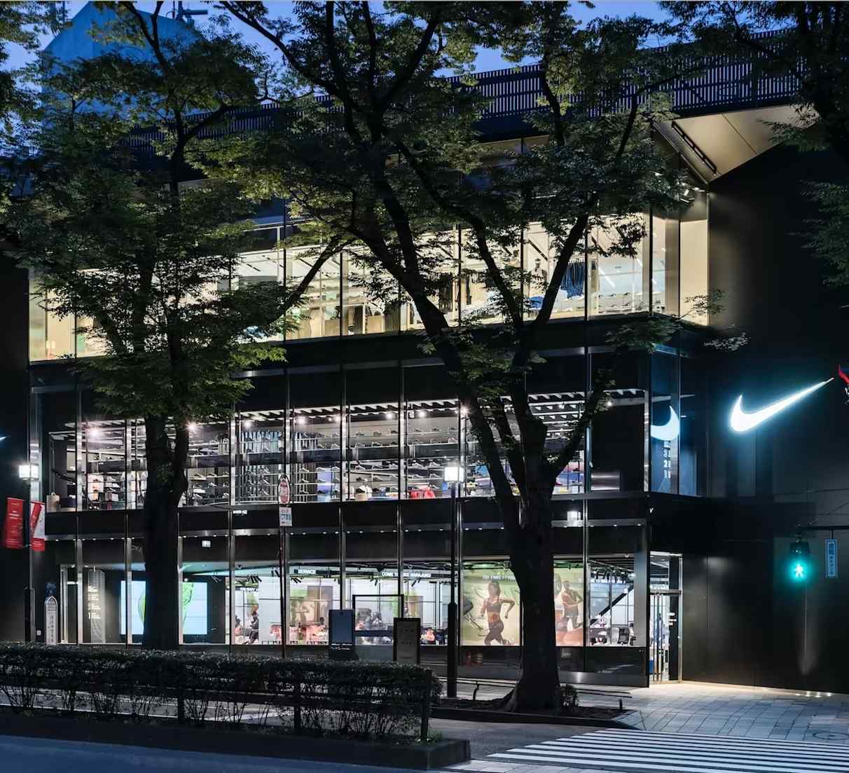 Nike Sport Research Lab Form
