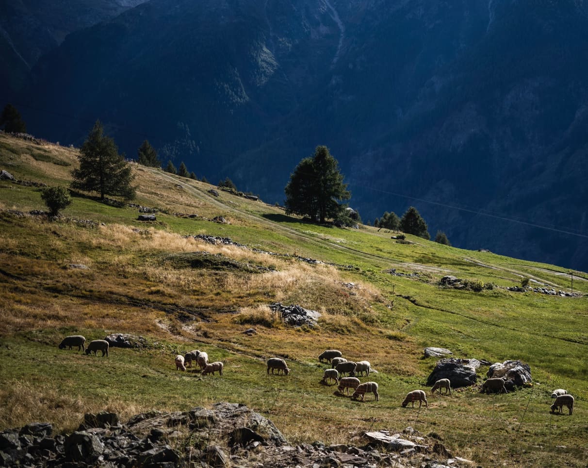 Juega al fútbol al más alto nivel en los Alpes suizos