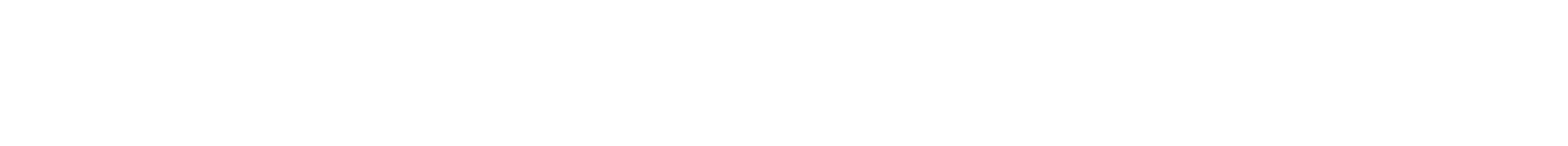 Nike Sportswear (NSW)
