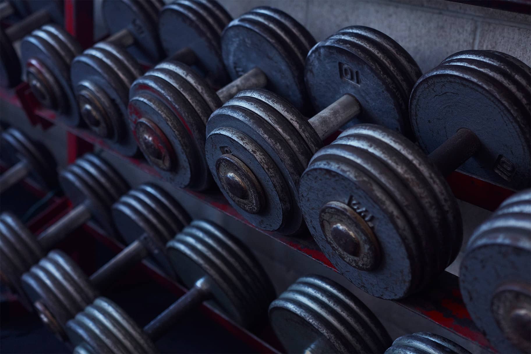 The Best Dumbbell Back Workouts According To Trainers Nike CH