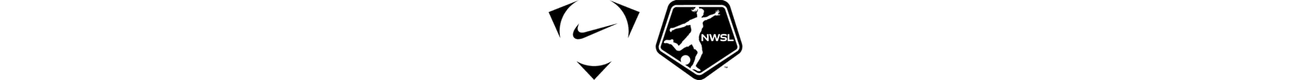 NSW Logo