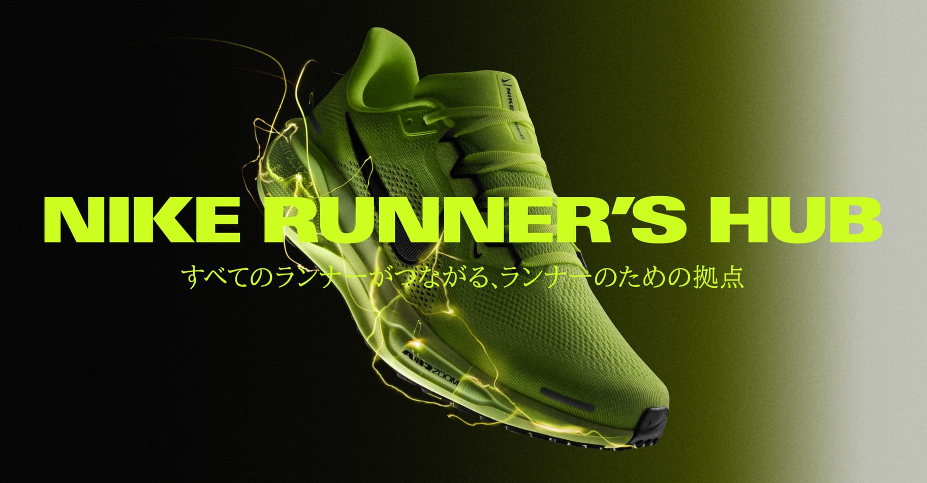 store-pegasus41-0524
