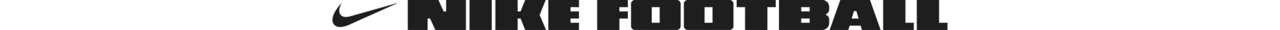 NSW Logo