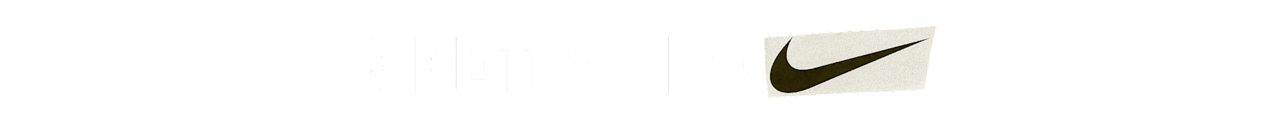 나이키 하이브리드 트레이닝