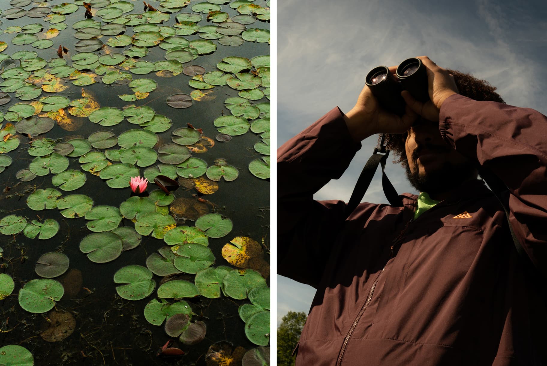 My Backyard: Learning to Love the Nature Around You