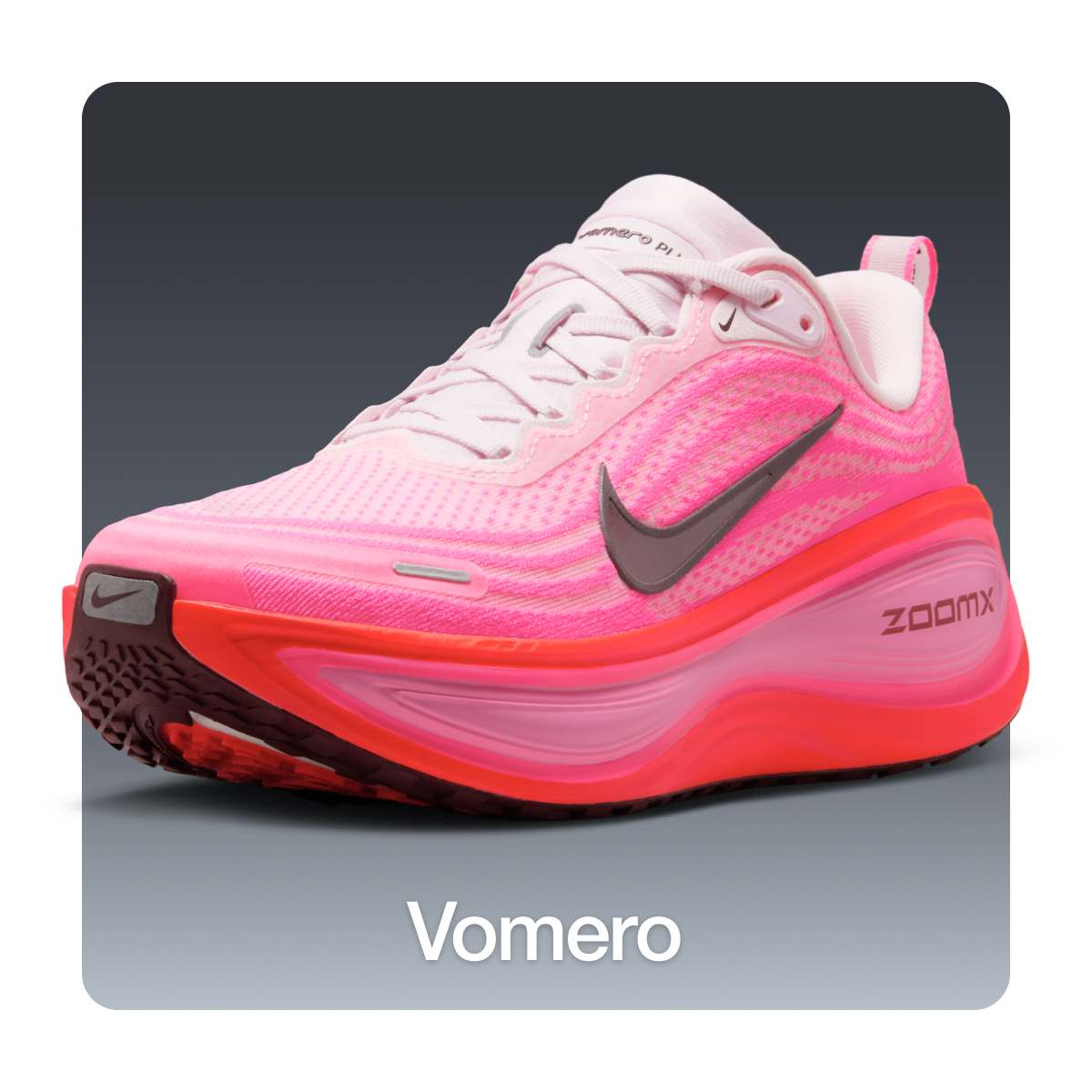 Women's Shoes, Clothing & Accessories