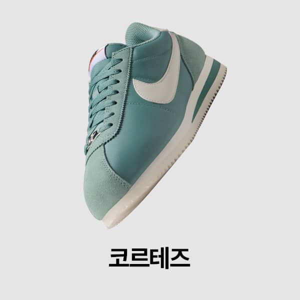 여성 신발, 의류 및 액세서리